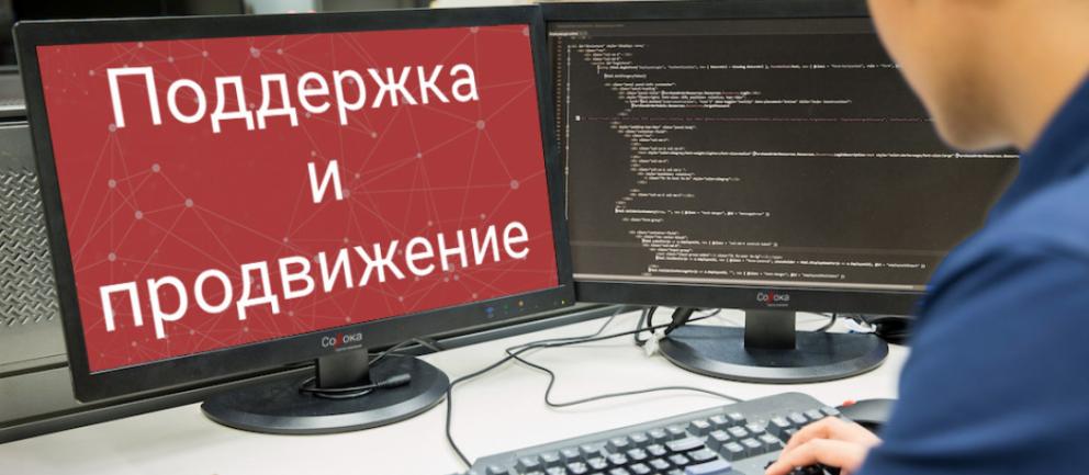 Поддержка и продвижение сайтов в digital-агентстве "Сорока" Поддержка и продвижение сайтов в digital-агентстве "Сорока"